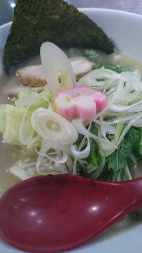 「濃厚鶏白湯ラーメン７８０円」@博多鶏炊き濃厚らーめん ひのとり 東京東陽町本店の写真