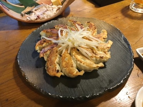 「浜松餃子」@居酒屋 出世の写真