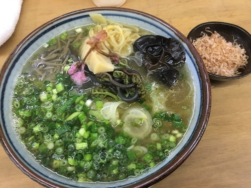 「卯月の限定  旬の蕨そば」@MENYA 食い味の道有楽の写真