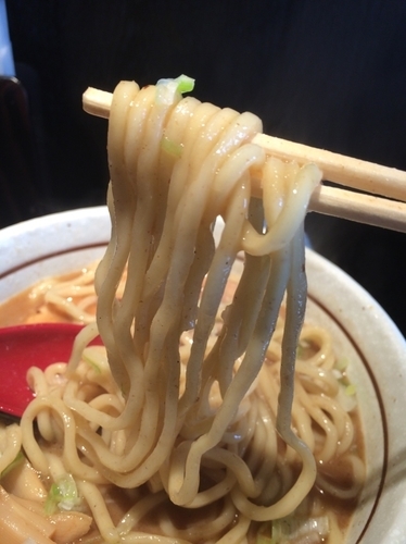 「らーめん600円＋大盛り100円」@麺や GATOの写真