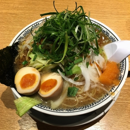 「野菜肉そば 半熟煮玉子入り」@丸源ラーメン 京都南インター店の写真
