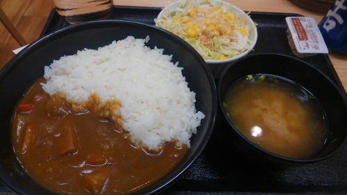 「カレー(旨辛)(350円)、生野菜セット(130円)」@吉野家 高陽店の写真