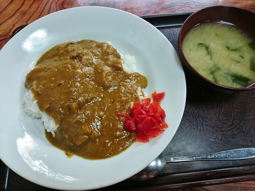 「カレーライス 650円」@吉野屋の写真