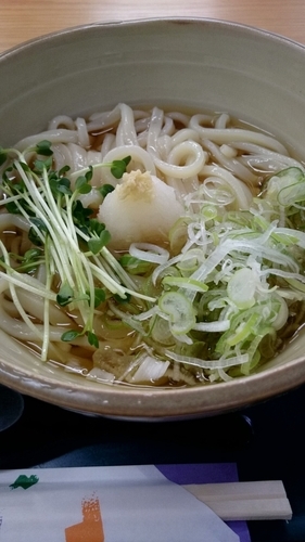 「ぶっかけ」@四ツ木製麺所の写真