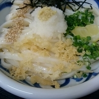 おろしうどん