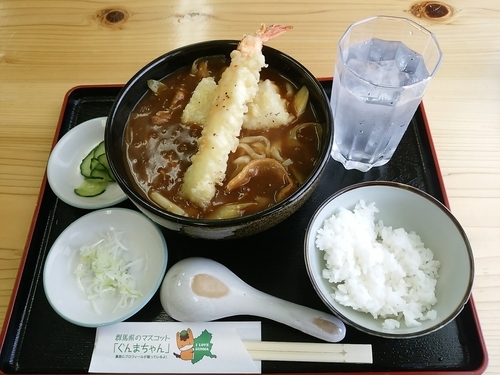 「自家製カレーうどん(並盛)980円」@手打ちそばやさん うどんやさんの写真