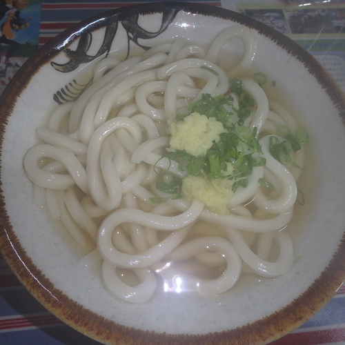 「かけ中(300円)」@上杉食品の写真