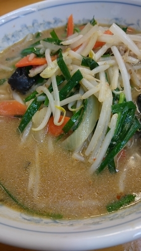 「ハーフ味噌ラーメン440円」@ぎょうざの満洲の写真