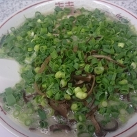 博多豚骨ラーメン➕ねぎ、きくらげ