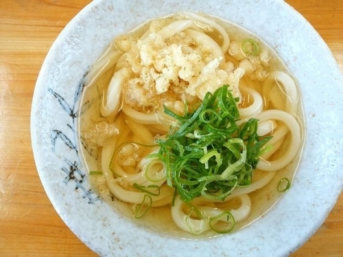 「冷かけうどん(1玉)」@うどん上戸の写真