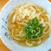 冷かけうどん（1玉）