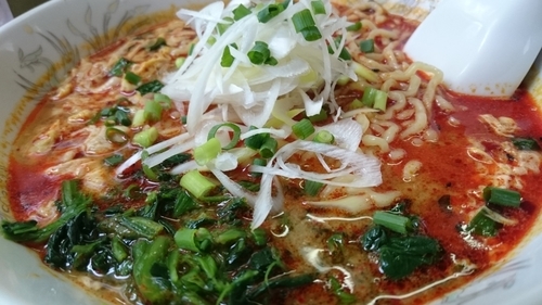 「ドラたんたんめん辛さ上級７５０円」@らーめん ドラごんちの写真