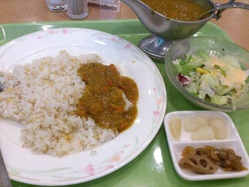 「薬膳カレー 980円」@日比谷松本楼 東京ビッグサイト店の写真