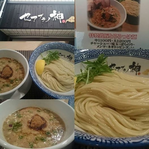 「5月限定鶏豚とろろつけ麺」@らーめん セアブラノ神 壬生本店の写真