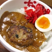 カレー豚バーグ￥380