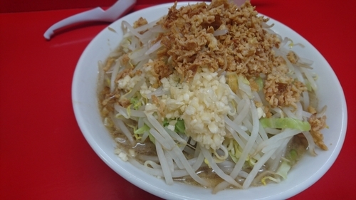 「小ラーメン(ニンニク)＋フライドミックス」@ラーメン 学の写真