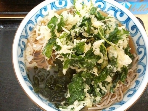 「あしたば天そば（大盛）」@稲浪の写真