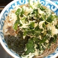 あしたば天そば（大盛）