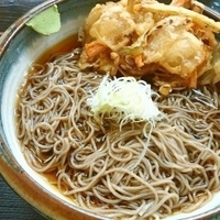 冷やしぶっかけかき揚げそば