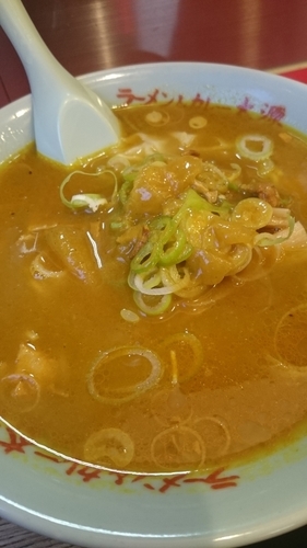 「カレーラーメン９００円」@太源の写真