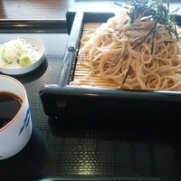 ざるそば＋ビール