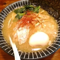 春限定 にぼし麺