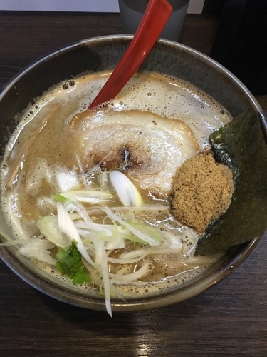 「らあめん(並盛)730円」@つけめん 眞司 其のニの写真