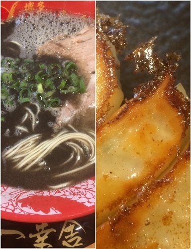 「黒ラーメン+博多一口餃子」@博多一幸舎 池袋東口店の写真