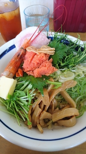 「明太子あえ蕎麦」@MENYA 食い味の道有楽の写真