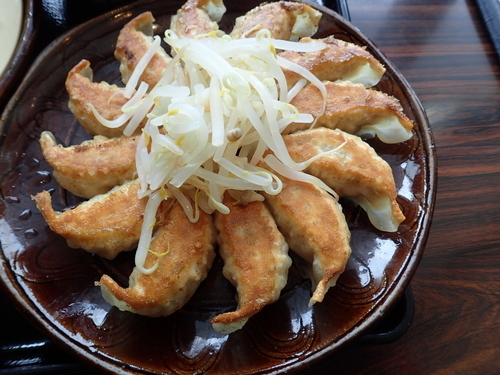 「浜松餃子と濃厚つけ麺のセット(1026円)」@五味八珍 メイワン店の写真