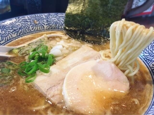 「濃厚煮干し鶏白湯麺(750円)」@煮干し中華そば 麺屋 新星の写真