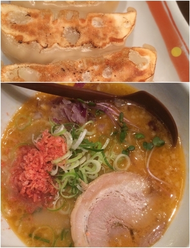 「えびとん+焼ぎょうざ」@よってこや 新宿南口店の写真