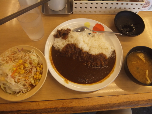 「オリジナルカレー330円＆生野菜110円(クーポンで無料)」@松屋 北小金店の写真