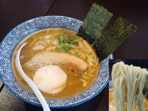 「濃厚煮干し鶏白湯そば 750円」@煮干し中華そば 麺屋 新星の写真
