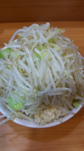 「なみのり二郎(限定)」@ラーメン二郎 八王子野猿街道店2の写真