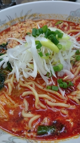 「ドラたんたんめん辛さ上級７５０円」@らーめん ドラごんちの写真