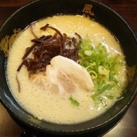 とんこつラーメン(カタ)