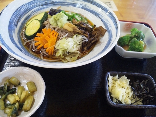 「こまゆみ冷やしそば　1,000円」@味処 こまゆみの写真