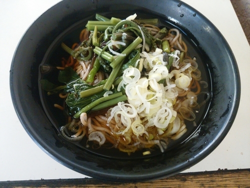 「冷し山菜そば(並盛)390円」@たかべん 0番線ホーム店の写真