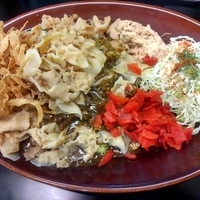 黒い肉カレー　890円＋ガリ豚300円