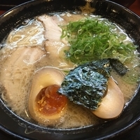 煮卵ラーメン650円