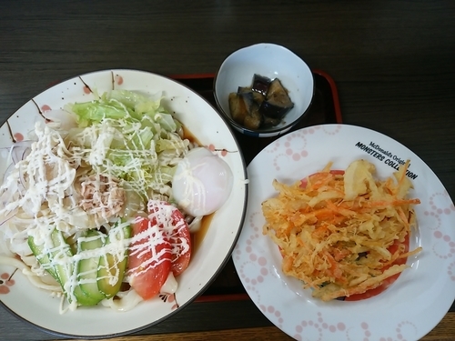 「サラダうどん(並盛)＋天ぷらセット700円→500円」@手打ちうどん たらっぺの写真