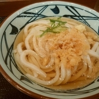 かけうどん
