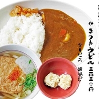 和風チキンカレー390円