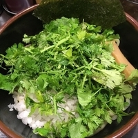 パクチートムヤム麺