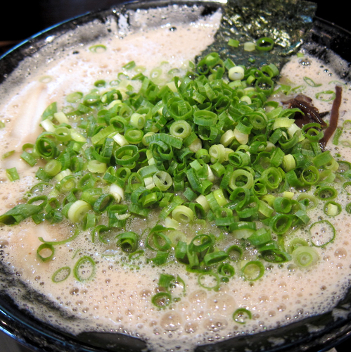 「ラーメン 600円（カタ・ネギオオメ）」@博多一双 博多駅東本店の写真
