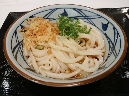 「冷しかけうどん(並盛)290円」@丸亀製麺 イーサイト高崎店の写真