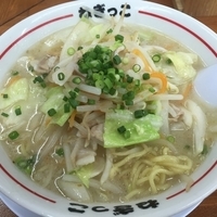 野菜ラーメン 塩 690円
