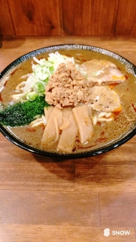 「肉入り味噌ラーメン大盛り」@麺や 蒼輝 AOIKAGAYAKIの写真