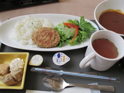「５種の豆バーグカレー（ｽｰﾌﾟ付き）　「670円」」@シダックス 春日部ユリノキ通り店の写真